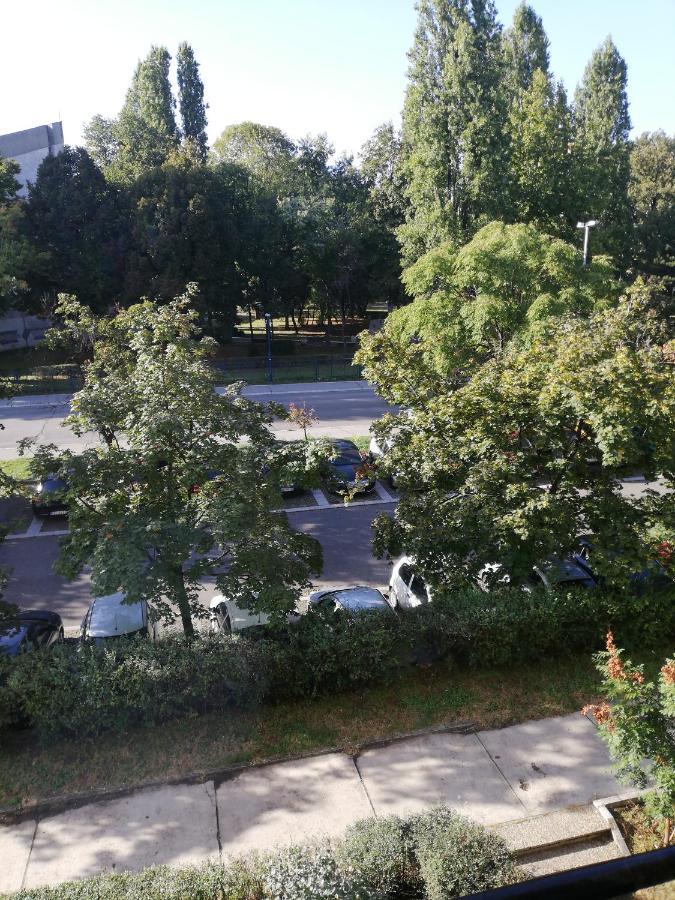 Apartman Vanja Belgrado Esterno foto