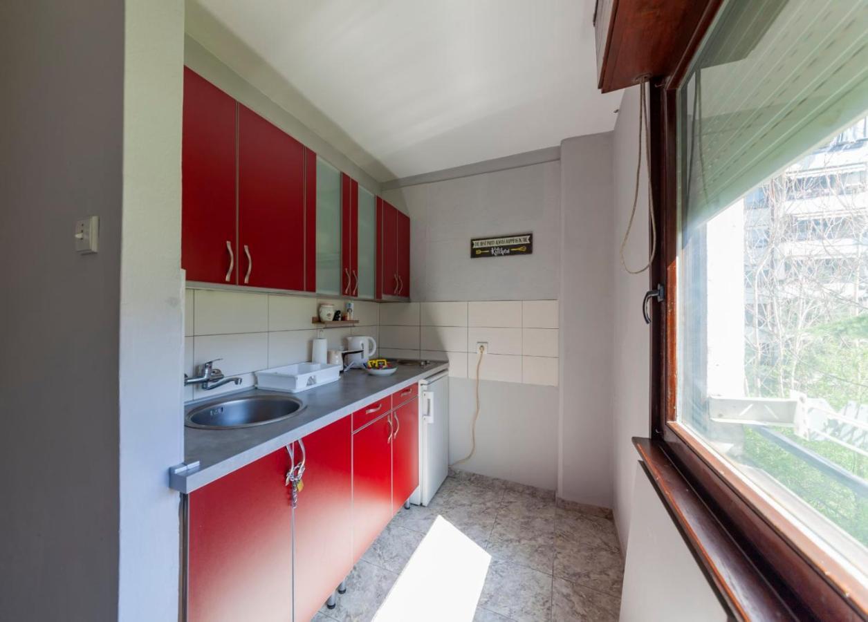 Apartman Vanja Belgrado Esterno foto